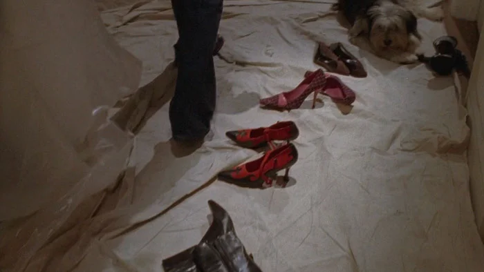 『ギルモア・ガールズ』で、ローレライは飼い犬のポール・アンカを綺麗好きと形容する