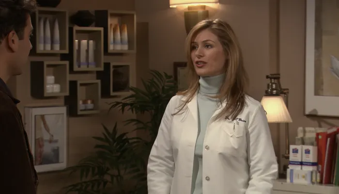 『ママと恋に落ちるまで』で、テッドはコンピュータが出した相性のいい女性を口説く