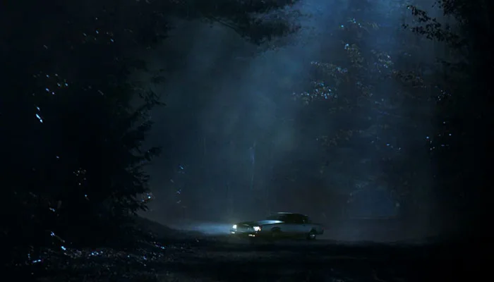 『コミ・カレ!!』で、夜の森