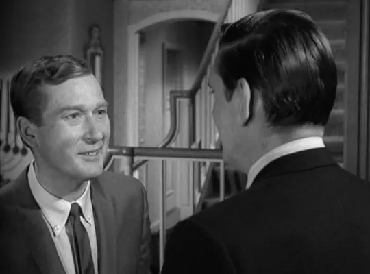 『奥さまは魔女』で、アダムは仕事を見つける