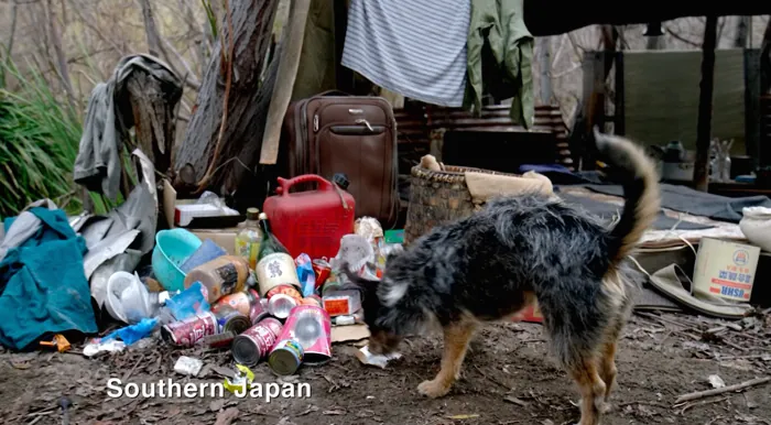 『ザ・ラストシップ』で、日本南部