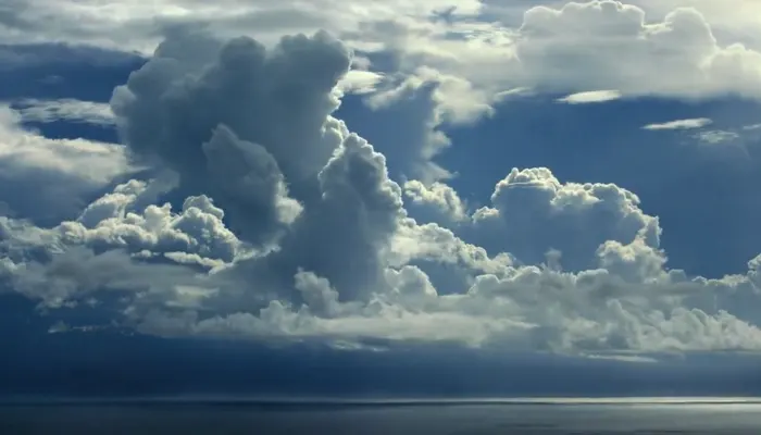 『OUR PLANET 私たちの地球』で、プランクトンが雲の生成に影響を及ぼす