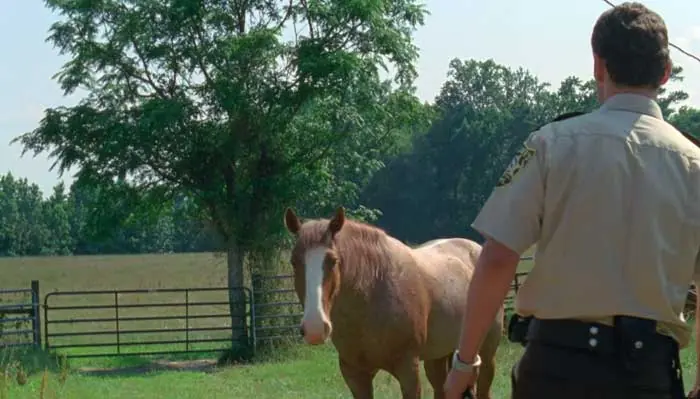 『ウォーキング・デッド』で、馬をなだめるリック