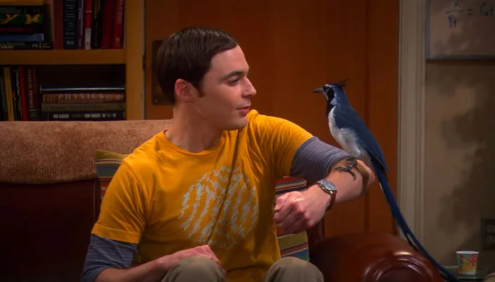 『ビッグバン★セオリー』で、鳥を腕に留まらせて話すシェルドン