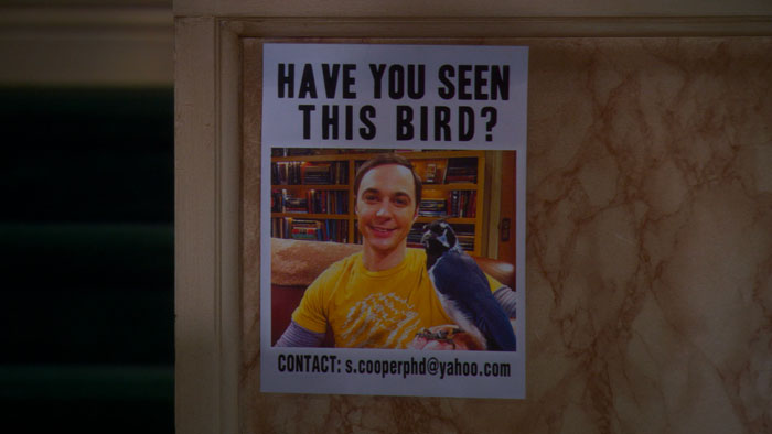 『ビッグバン★セオリー』で、行方不明の鳥を探すポスターに書かれたシェルドンのヤフーのメアド