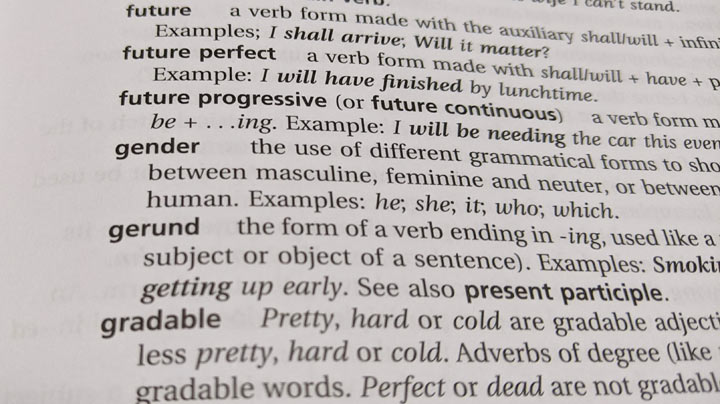 Practical English Usage のLanguage terminology