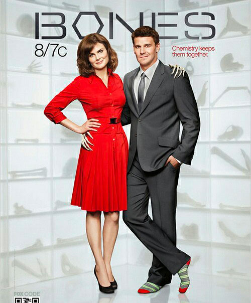 『BONES -骨は語る-』の番宣ポスター「Chemistry Keeps Them Together」