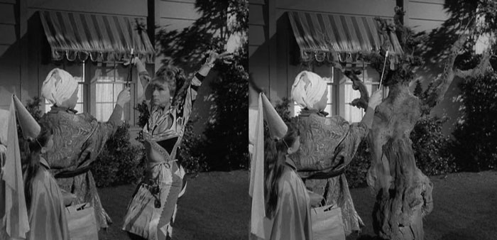 『奥さまは魔女』で、タバサは子供に木になると言われ、本当に木になる