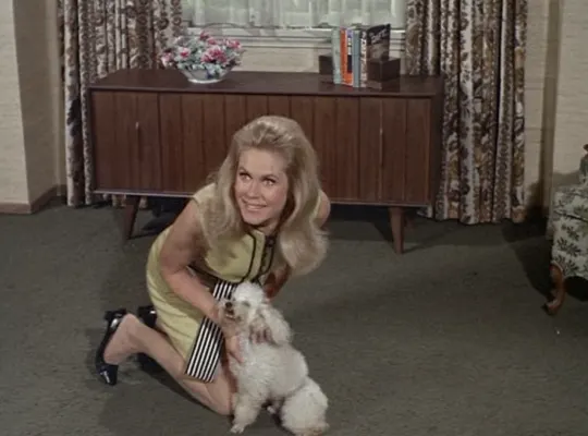 『奥さまは魔女』で、サマンサはジョークを言う