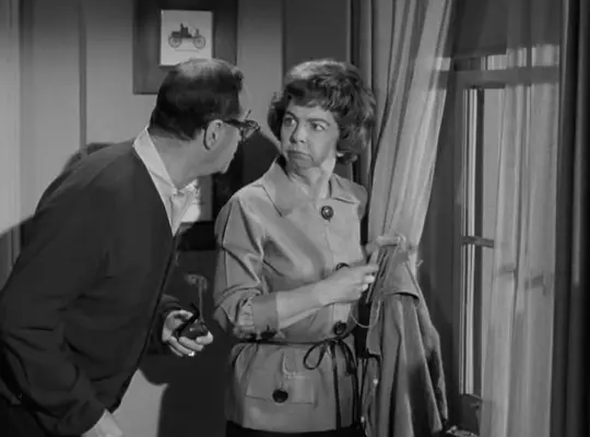 『奥さまは魔女』で、グラディスとアブナー夫妻