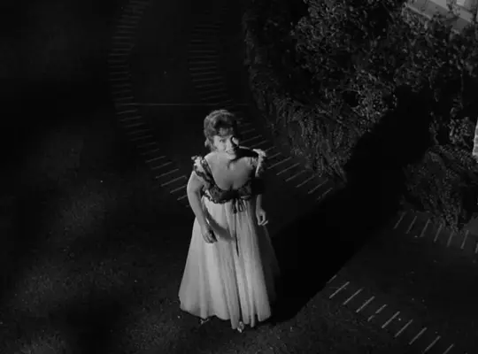 『奥さまは魔女』で、ダーリンを呼ぶプレジャー