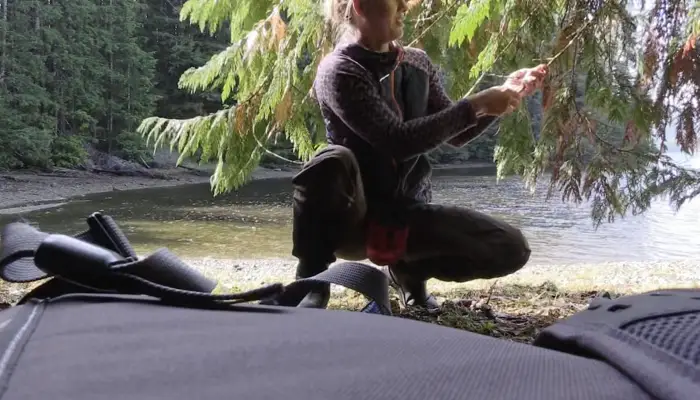 『ALONE 〜孤独のサバイバー〜』で、参加者がサバイバルを始める