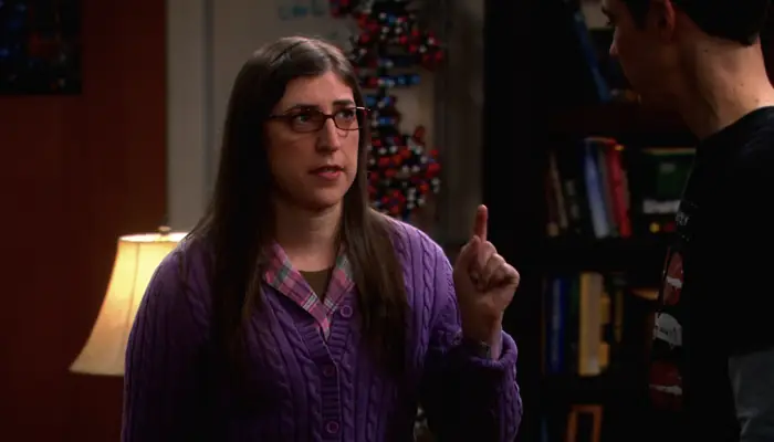 『ビッグバン★セオリー』で、シェルドンとエイミーはカップルでやるものを決める